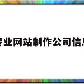 专业网站制作公司信息(专业网站制作公司信息怎么写)