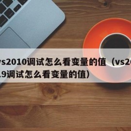 vs2010调试怎么看变量的值（vs2019调试怎么看变量的值）