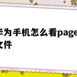 华为手机怎么看pages文件(华为手机怎么看pages文件内容)