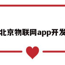 北京物联网app开发(北京物联网科技有限公司)