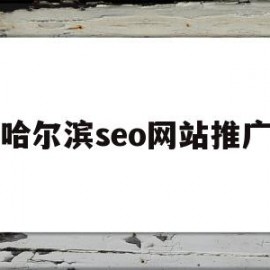 哈尔滨seo网站推广(SEO网站推广与优化方案)