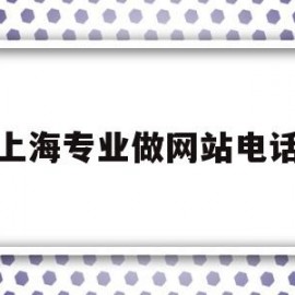 上海专业做网站电话(上海做网站的公司哪家好)