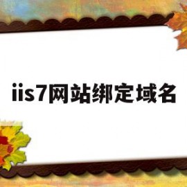 iis7网站绑定域名(iis架设网站)