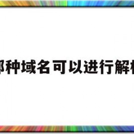 那种域名可以进行解析(能实现域名解析的功能软件模块)