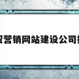 外贸营销网站建设公司排名(外贸营销型网站建设公司)