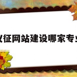 仪征网站建设哪家专业(仪征网站建设哪家专业公司好)