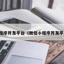 小程序开发平台（微信小程序开发平台）