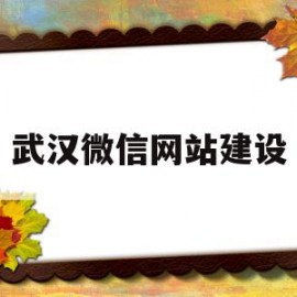 武汉微信网站建设(武汉网站建设方案维护)