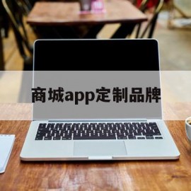 商城app定制品牌(商城app定制品牌有哪些)