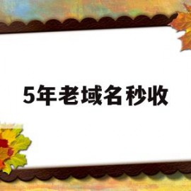 5年老域名秒收(5年老员工奖项名称)