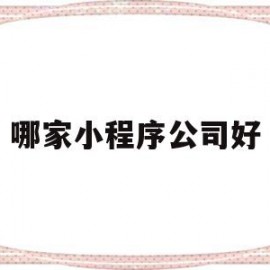 哪家小程序公司好(国内小程序最好的公司)