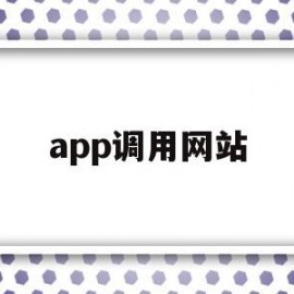 app调用网站(网站调用api接口调用指什么)