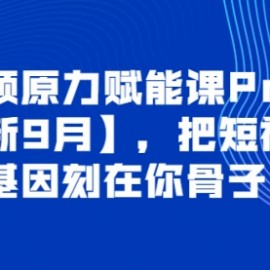 短视频原力赋能课Pro【更新9月】，把短视频能力基因刻在你骨子里的课