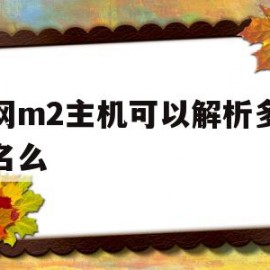 万网m2主机可以解析多个域名么(万网m2主机可以解析多个域名么嘛)