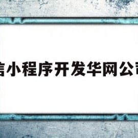 微信小程序开发华网公司司(小程序商城开发华网科技科技)