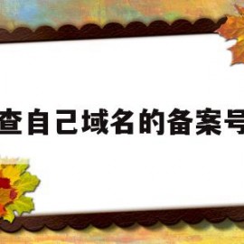 查自己域名的备案号(如何查域名备案信息查询)