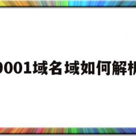 9001域名域如何解析的简单介绍