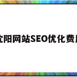 沈阳网站SEO优化费用(沈阳seo网站排名优化公司)