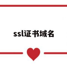 ssl证书域名(ssl证书域名认证追加Ip)