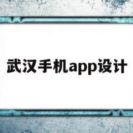 武汉手机app设计(武汉app开发和制作的费用)