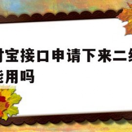 支付宝接口申请下来二级域名能用吗(支付宝接口申请下来二级域名能用吗怎么弄)