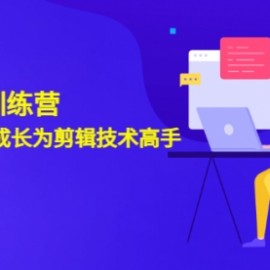 剪辑实战训练营：带你从0基础成长为剪辑技术高手