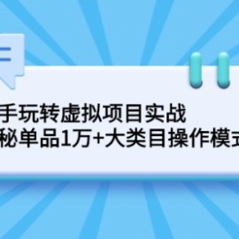 新手玩转虚拟项目实战，揭秘单品1万+大类目操作模式