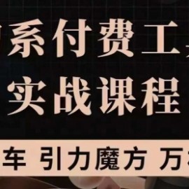 淘系付费工具实战课程【直通车、引力魔方】战略优化，实操演练（价值1299）