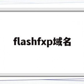 flashfxp域名(flash名称)