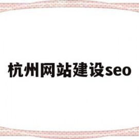 杭州网站建设seo(杭州网站建设方案维护)