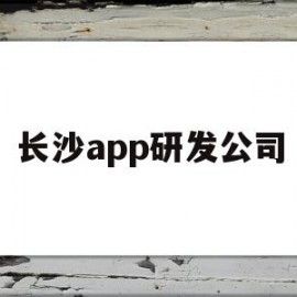 长沙app研发公司(长沙知名软件开发公司)