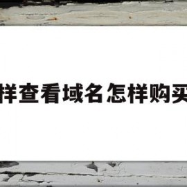 怎样查看域名怎样购买的(怎样查看域名怎样购买的商品)