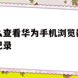 怎么查看华为手机浏览器浏览记录(怎么查看华为手机浏览器浏览记录时间)