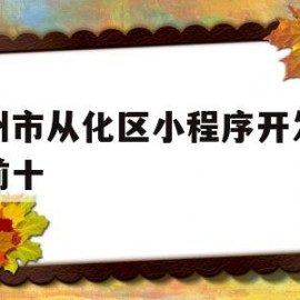 广州市从化区小程序开发公司前十的简单介绍