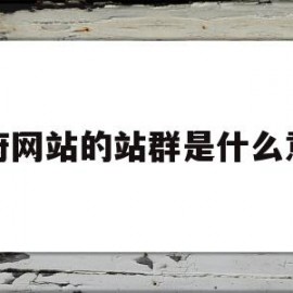 政府网站的站群是什么意思(政府网站群可分为哪四种建设模式)