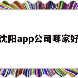 沈阳app公司哪家好(沈阳的软件公司排名)