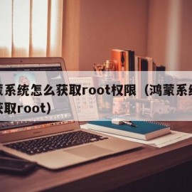 鸿蒙系统怎么获取root权限（鸿蒙系统怎样获取root）