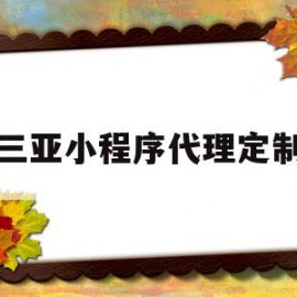 三亚小程序代理定制(三亚小程序代理定制公司)