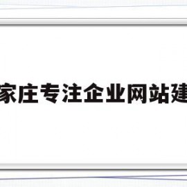 石家庄专注企业网站建设(石家庄专注企业网站建设公司)