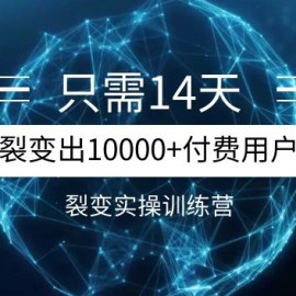 《14天分销裂变实操营》几天就裂变出10000+付费用户