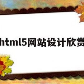 html5网站设计欣赏(html5网页设计基础教程)