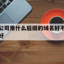 公司用什么后缀的域名好不好(公司用什么后缀的域名好不好呢)