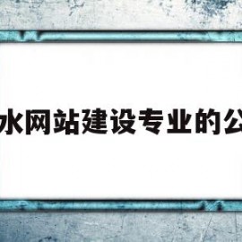 丽水网站建设专业的公司(丽水网站建设专业的公司有哪些)