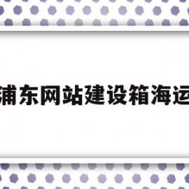 浦东网站建设箱海运(上海浦东国际码头集装箱公司)