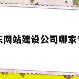 山东网站建设公司哪家专业(山东省网站建设)