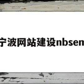 宁波网站建设nbsem(宁波网站建设推广公司价格)