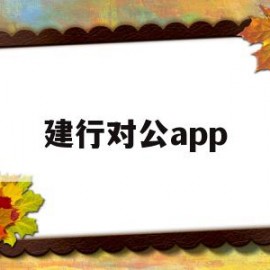 建行对公app(建行对公App复核错误码3)