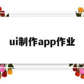 ui制作app作业(软件ui制作)