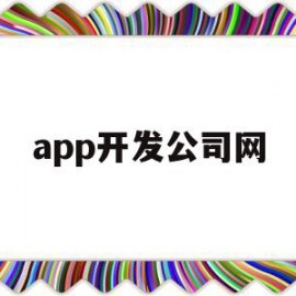 app开发公司网(app开发公司网站)