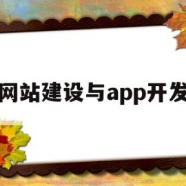 网站建设与app开发(网站建设与app开发的区别)